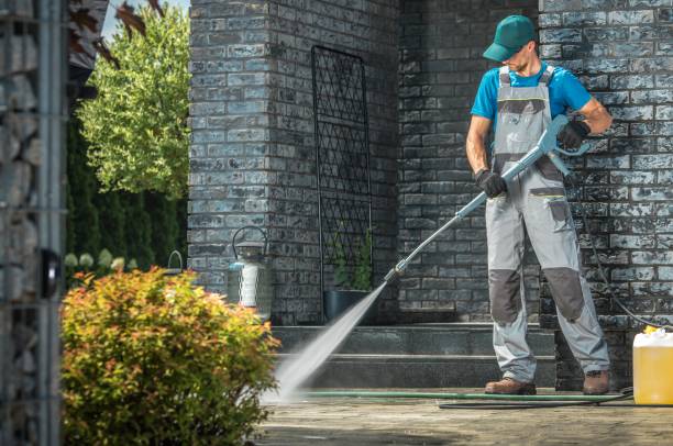 Best Fence Cleaning  in Williston, FL
