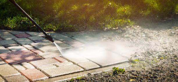 Best Patio and Deck Pressure Washing  in Williston, FL